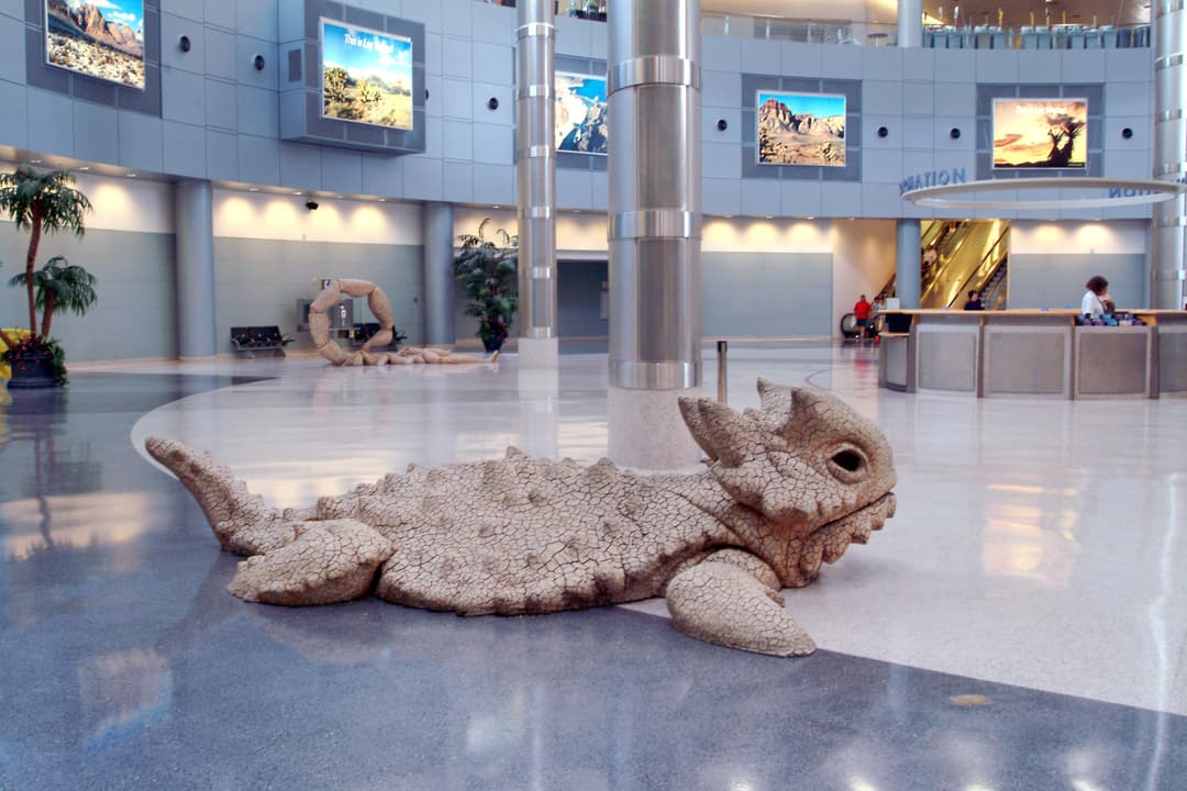 "Desert Wildlife" by David Phelps - Photo